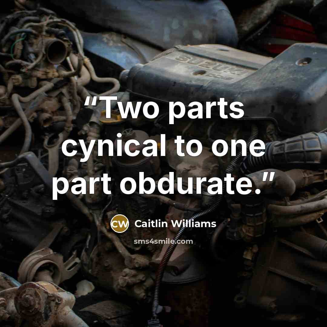 “Two parts cynical to one part obdurate.” quote by Caitlin Williams
