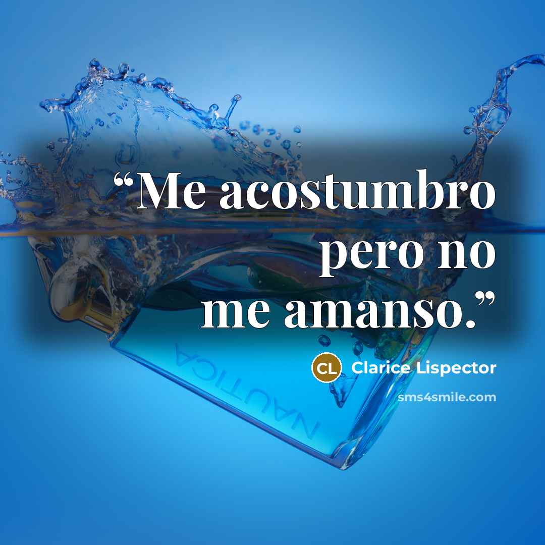 “Me acostumbro pero no me amanso.” quote by Clarice Lispector