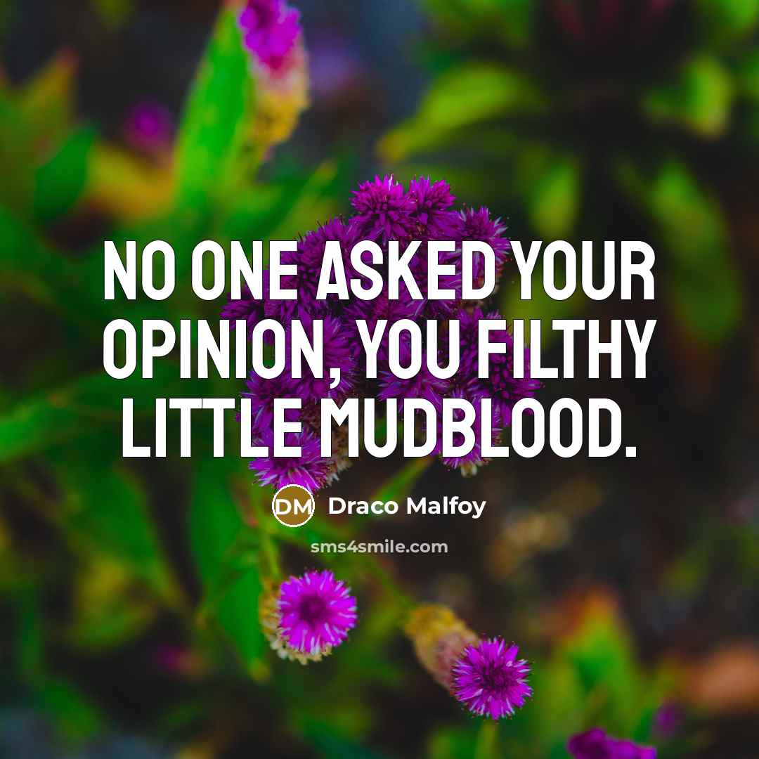 “No one asked your opinion, you filthy little Mudblood.” quote by Draco Malfoy