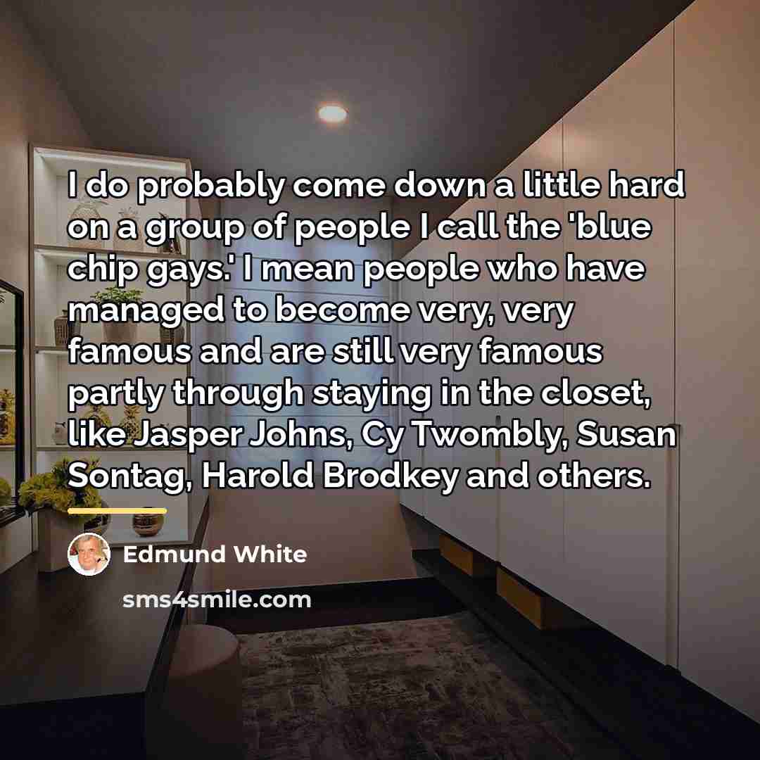 “I do probably come down a little hard on a…” quote by Edmund White