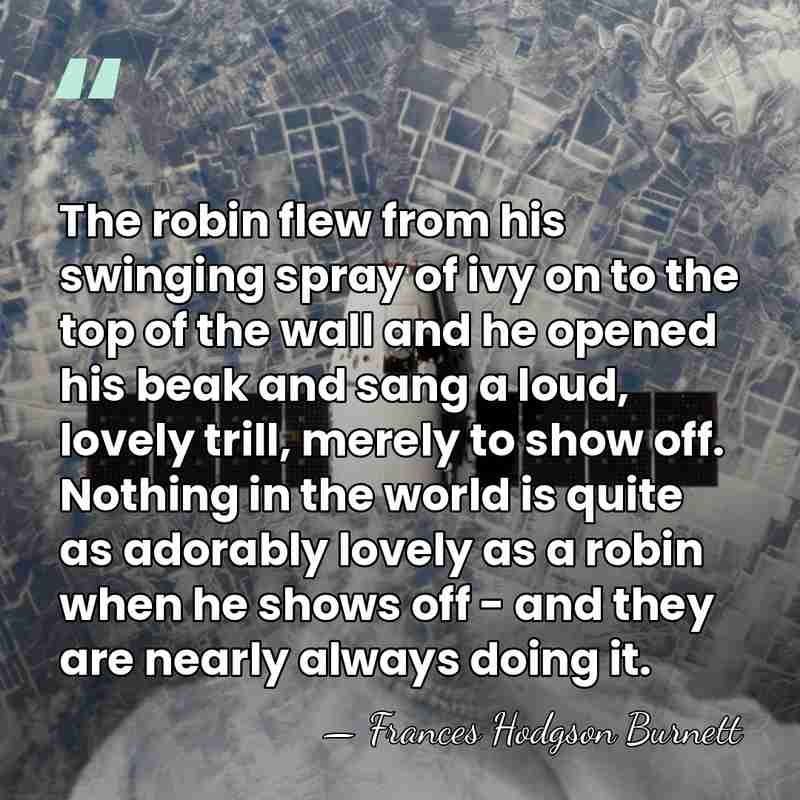 The robin flew from his swinging spray of ivy on to the&hellip; - Frances Hodgson Burnett