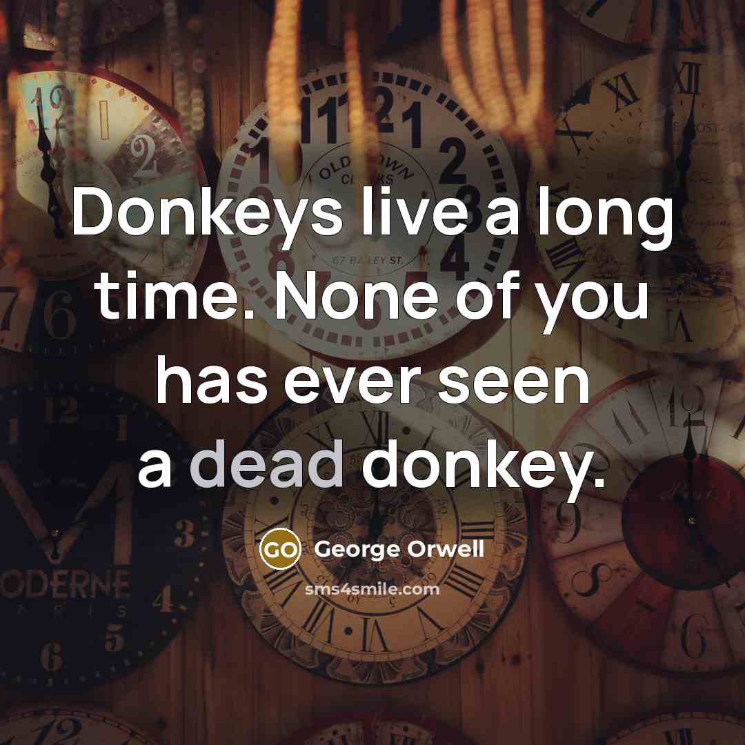 “Donkeys live a long time. None of you has ever…” quote by George Orwell