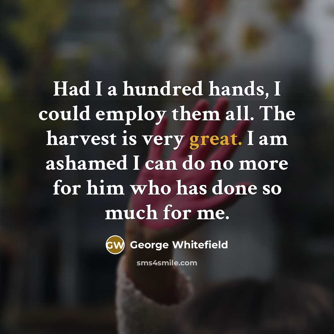 “Had I a hundred hands, I could employ them all.…” quote by George Whitefield