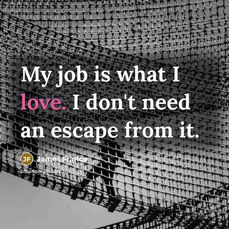 “My job is what I love. I don't need an…” quote by James Franco