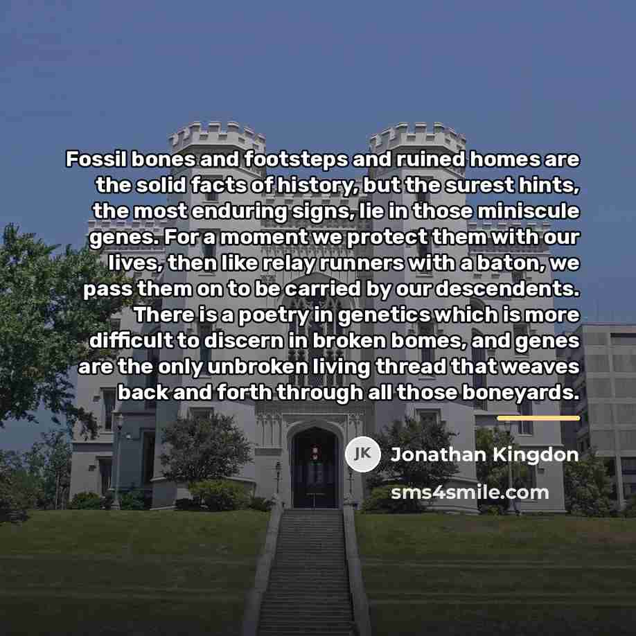 “Fossil bones and footsteps and ruined homes are the solid…” quote by Jonathan Kingdon