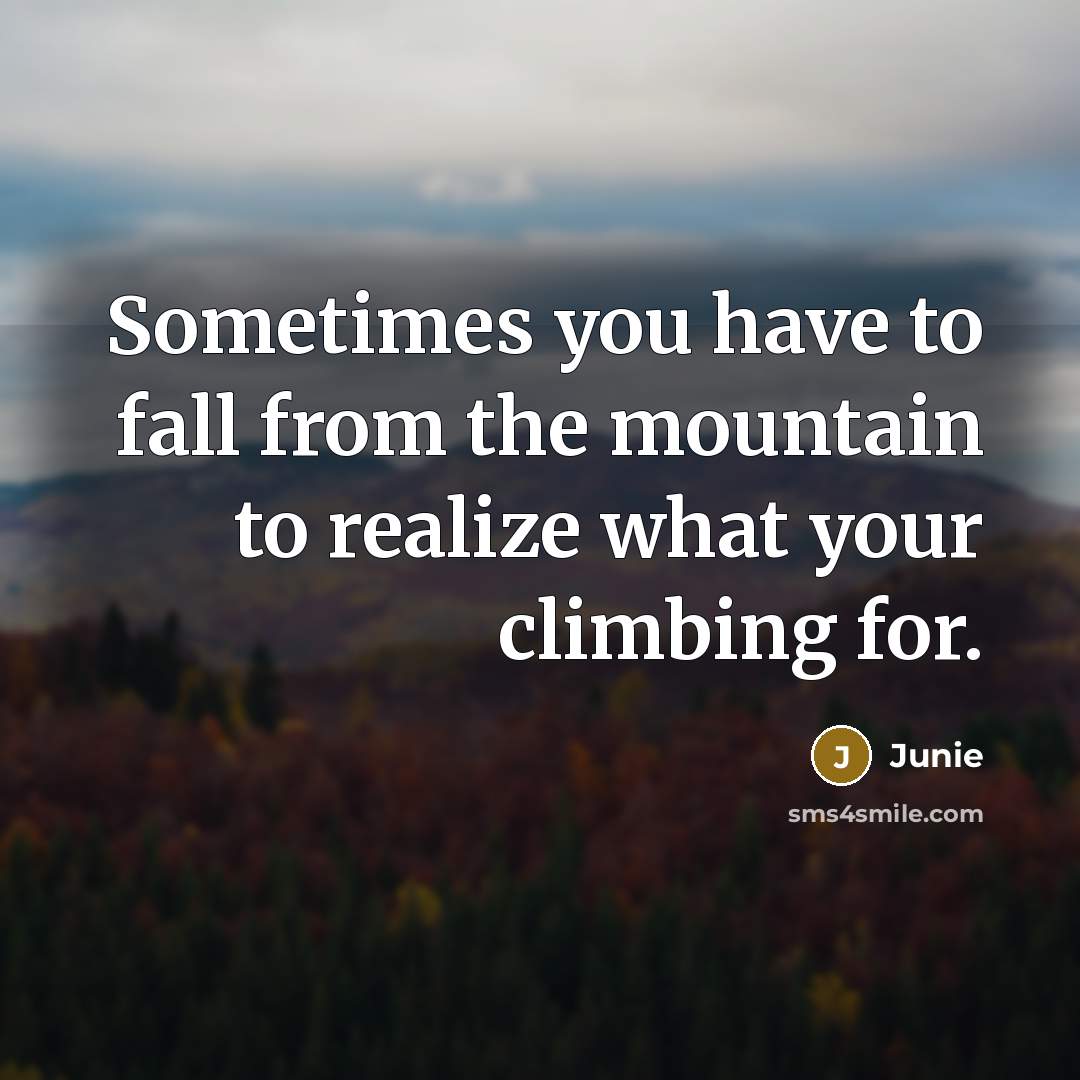 “Sometimes you have to fall from the mountain to realize what your climbing for.” quote by Junie