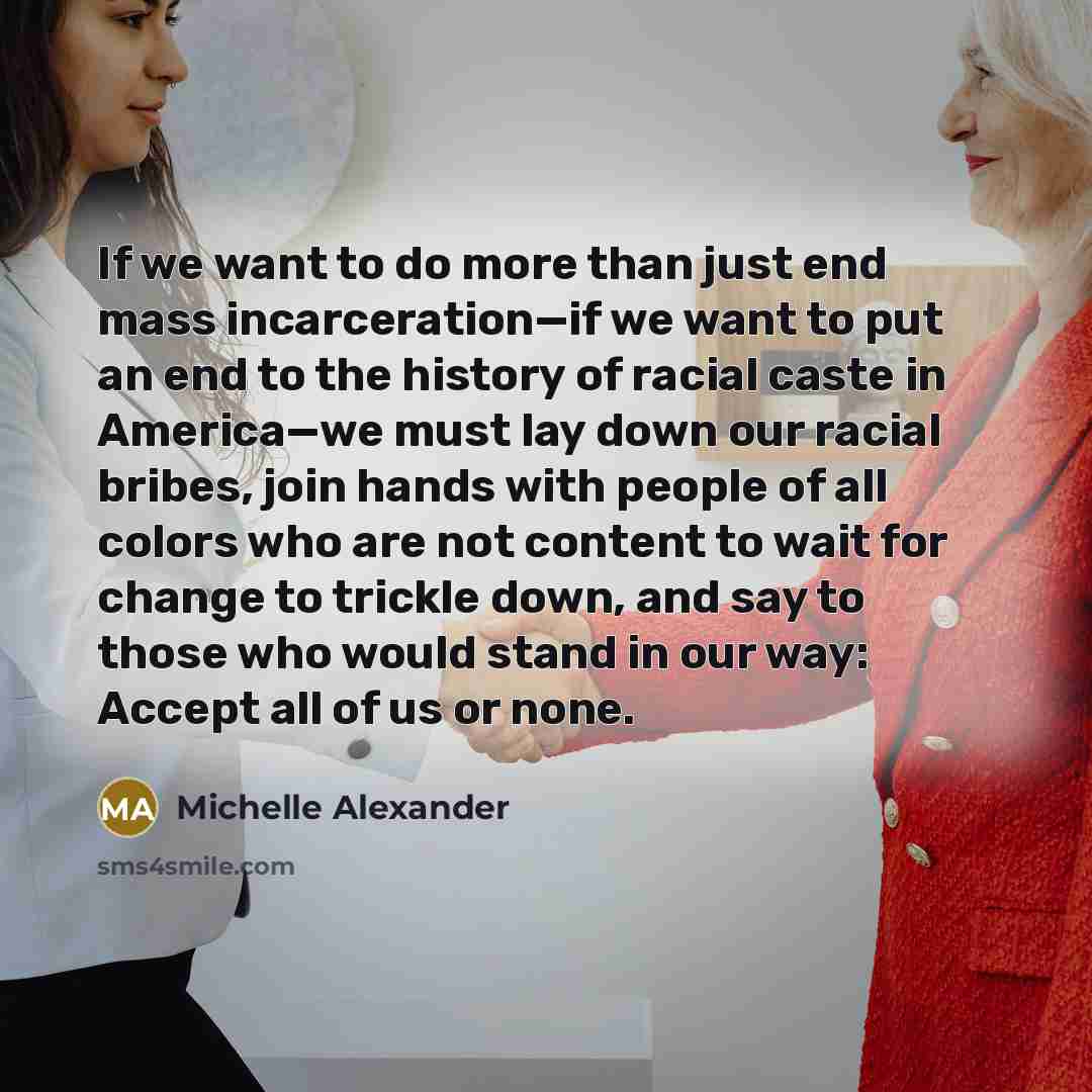 “If we want to do more than just end mass…” quote by Michelle Alexander