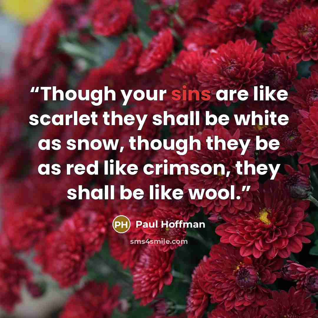 “Though your sins are like scarlet they shall be white as snow, though they be as red like crimson, they shall be like wool.” quote by Paul Hoffman