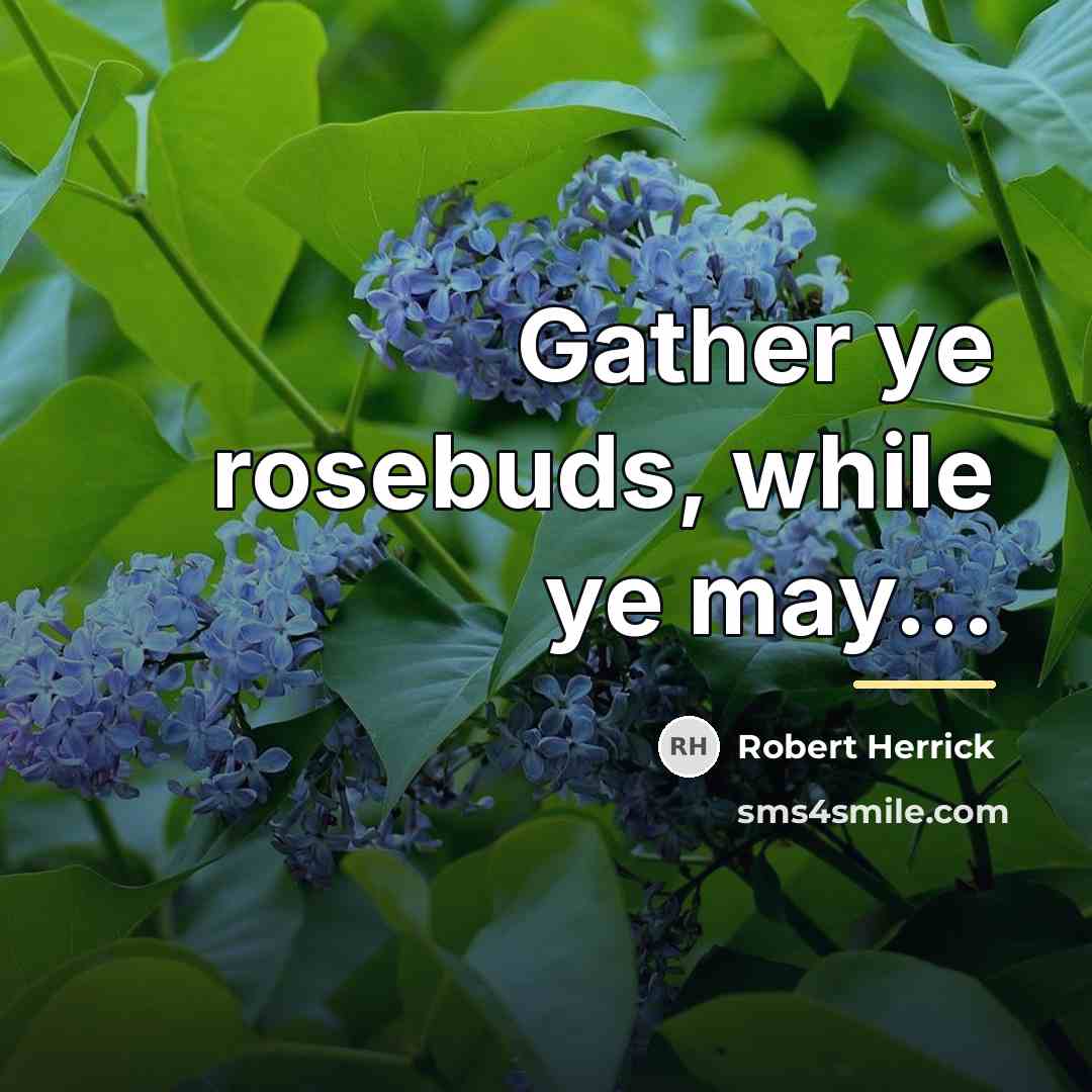 “Gather ye rosebuds, while ye may...…” quote by Robert Herrick