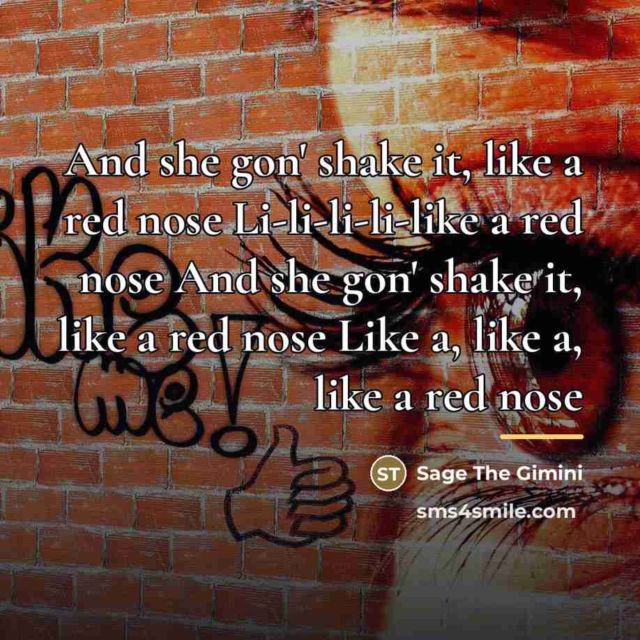 “And she gon' shake it, like a red nose Li-li-li-li-like…” quote by Sage The Gimini