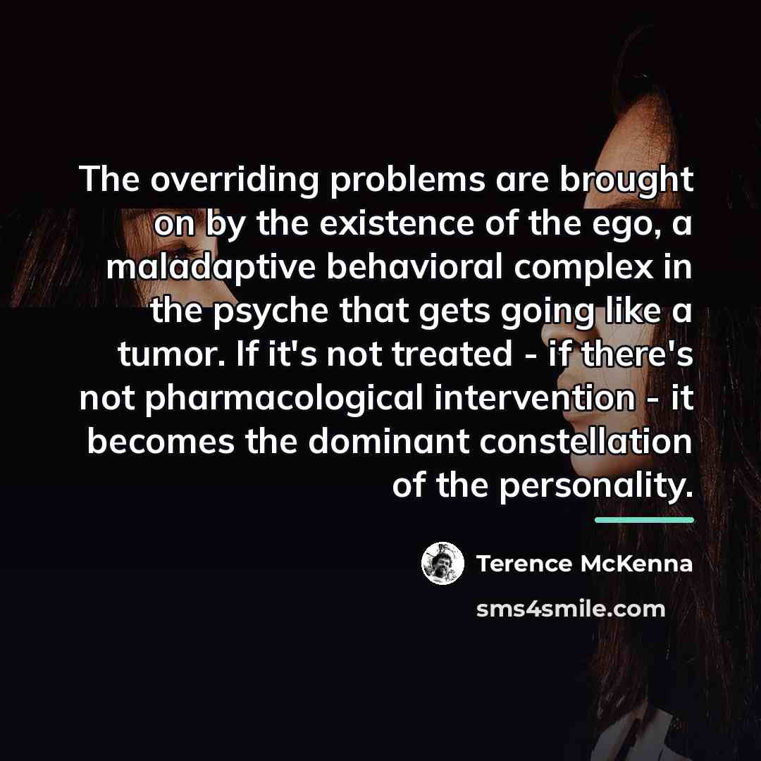 “The overriding problems are brought on by the existence of…” quote by Terence McKenna