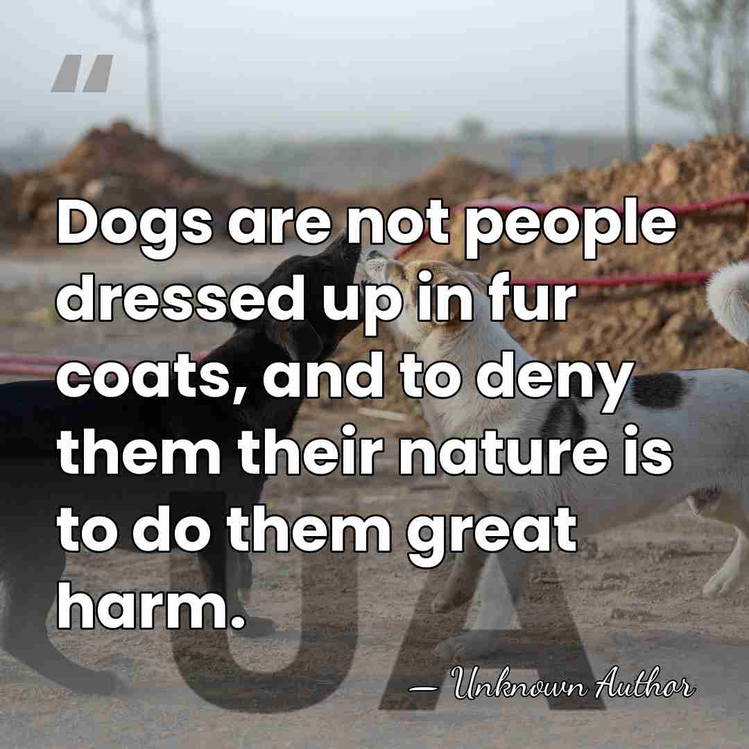 Dogs are not people dressed up in fur coats, and to deny&hellip; - Jeanne Schinto