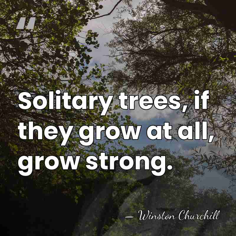 Solitary trees, if they grow at all, grow strong. - Winston Churchill