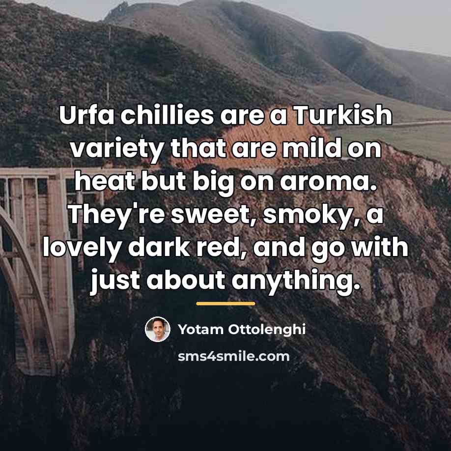 “Urfa chillies are a Turkish variety that are mild on…” quote by Yotam Ottolenghi