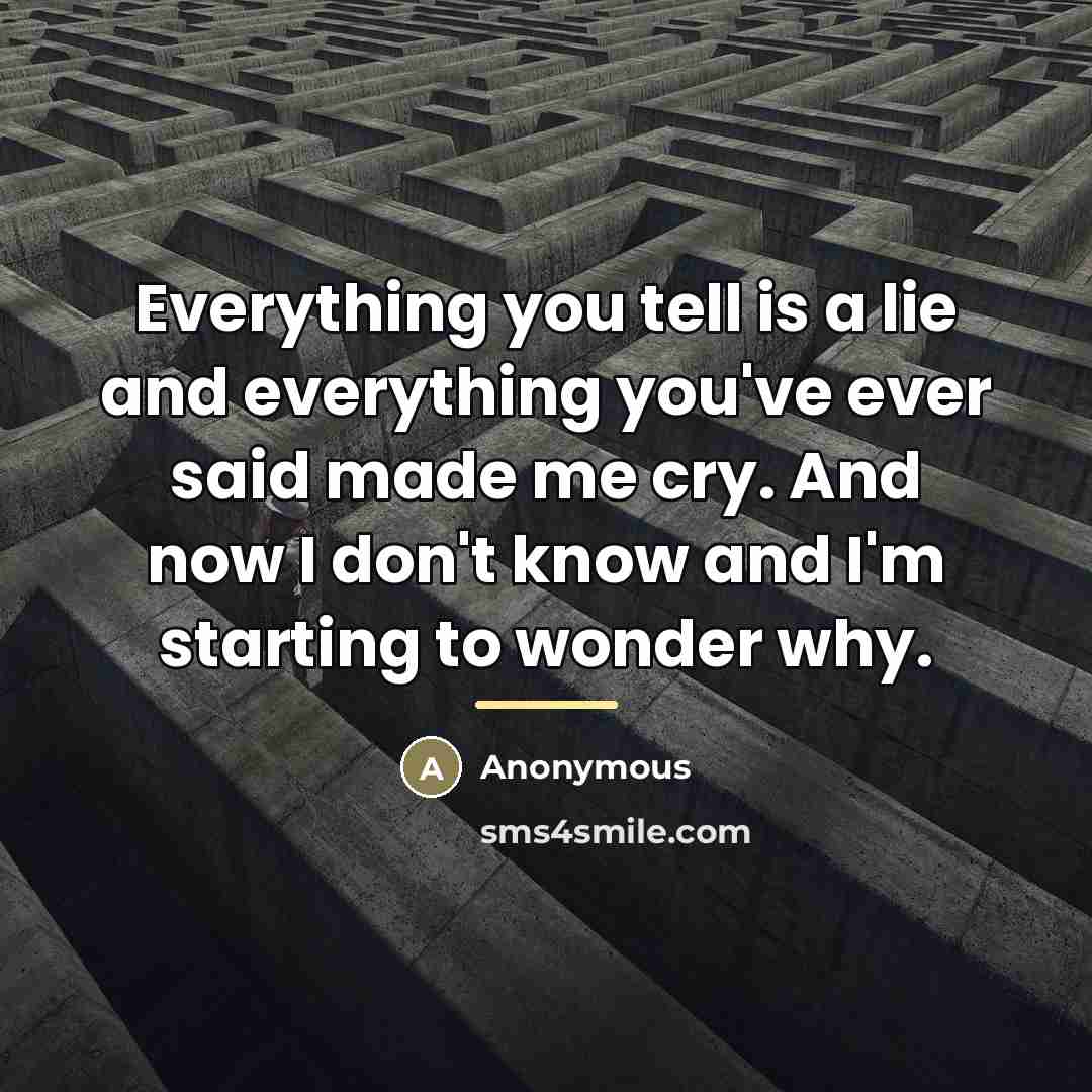 “Everything you tell is a lie and everything you've ever…” quote by Anonymous
