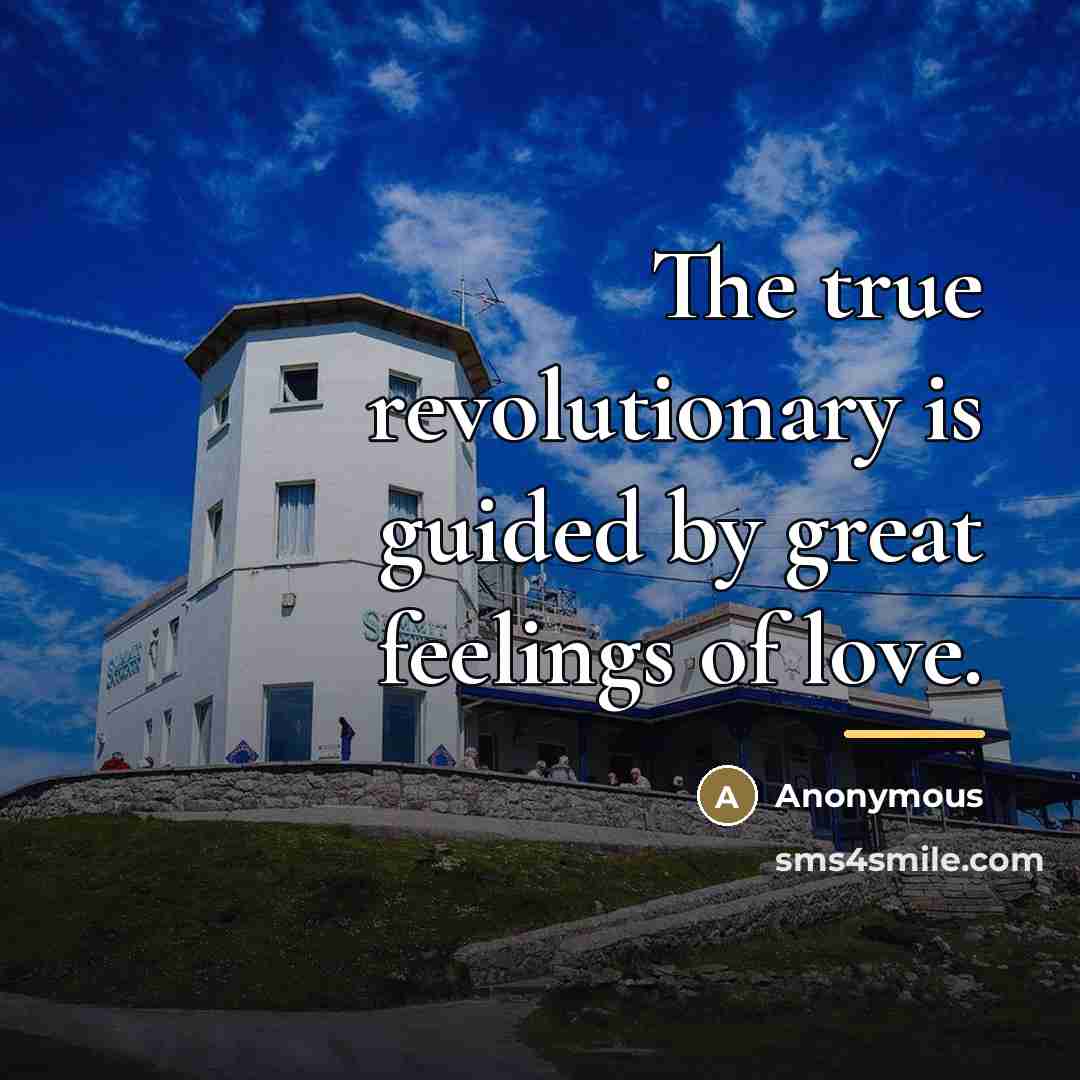 “The true revolutionary is guided by great feelings of love.…” quote by Anonymous