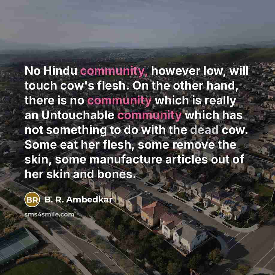 “No Hindu community, however low, will touch cow's flesh. On…” quote by B. R. Ambedkar