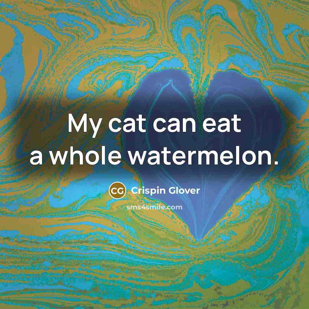 “My cat can eat a whole watermelon.…” quote by Crispin Glover