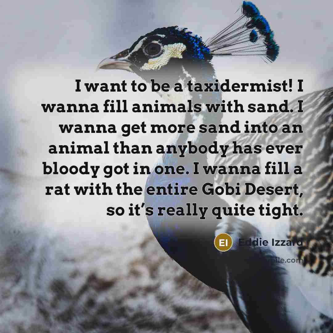 “I want to be a taxidermist! I wanna fill animals…” quote by Eddie Izzard