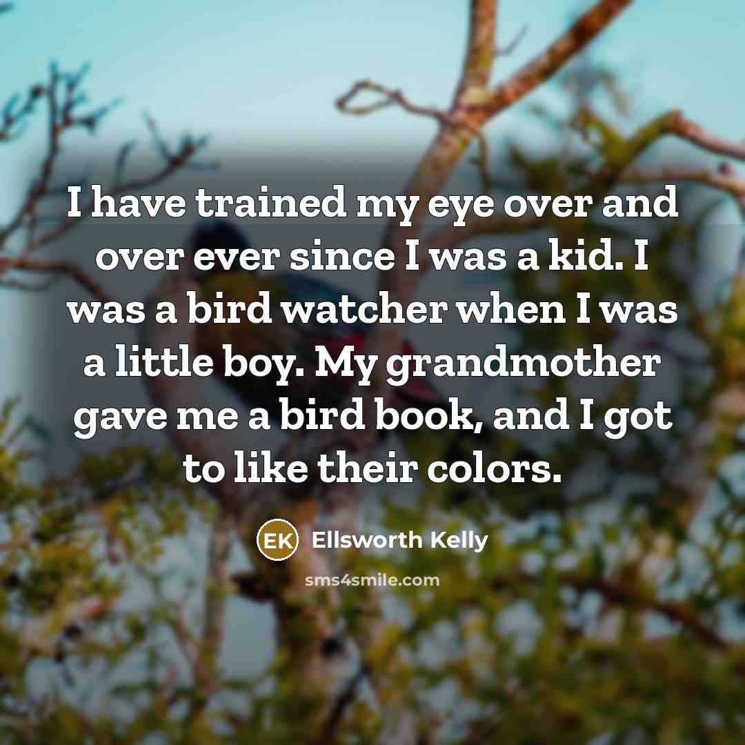 “I have trained my eye over and over ever since…” quote by Ellsworth Kelly