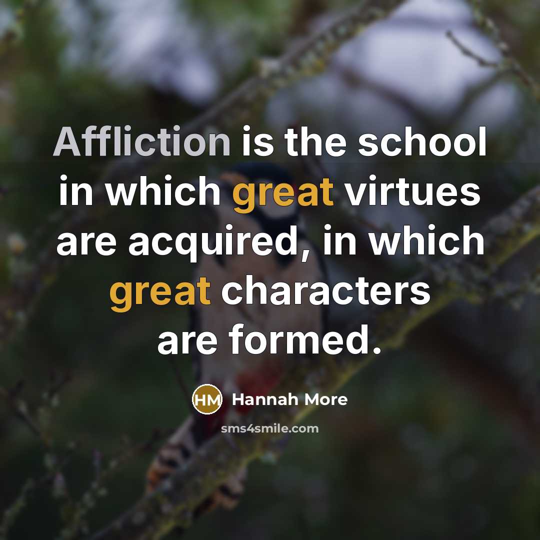 “Affliction is the school in which great virtues are acquired,…” quote by Hannah More