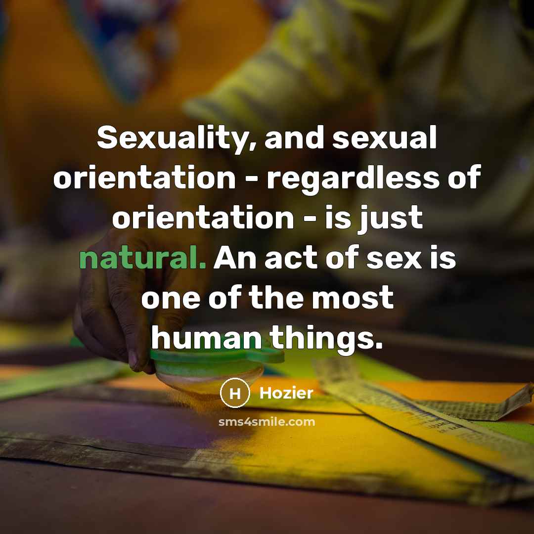 “Sexuality, and sexual orientation - regardless of orientation - is…” quote by Hozier