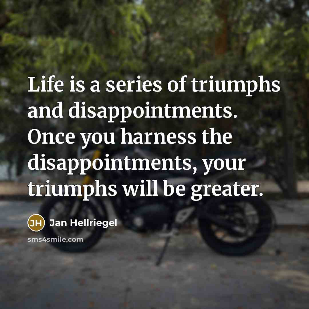 “Life is a series of triumphs and disappointments. Once you…” quote by Jan Hellriegel