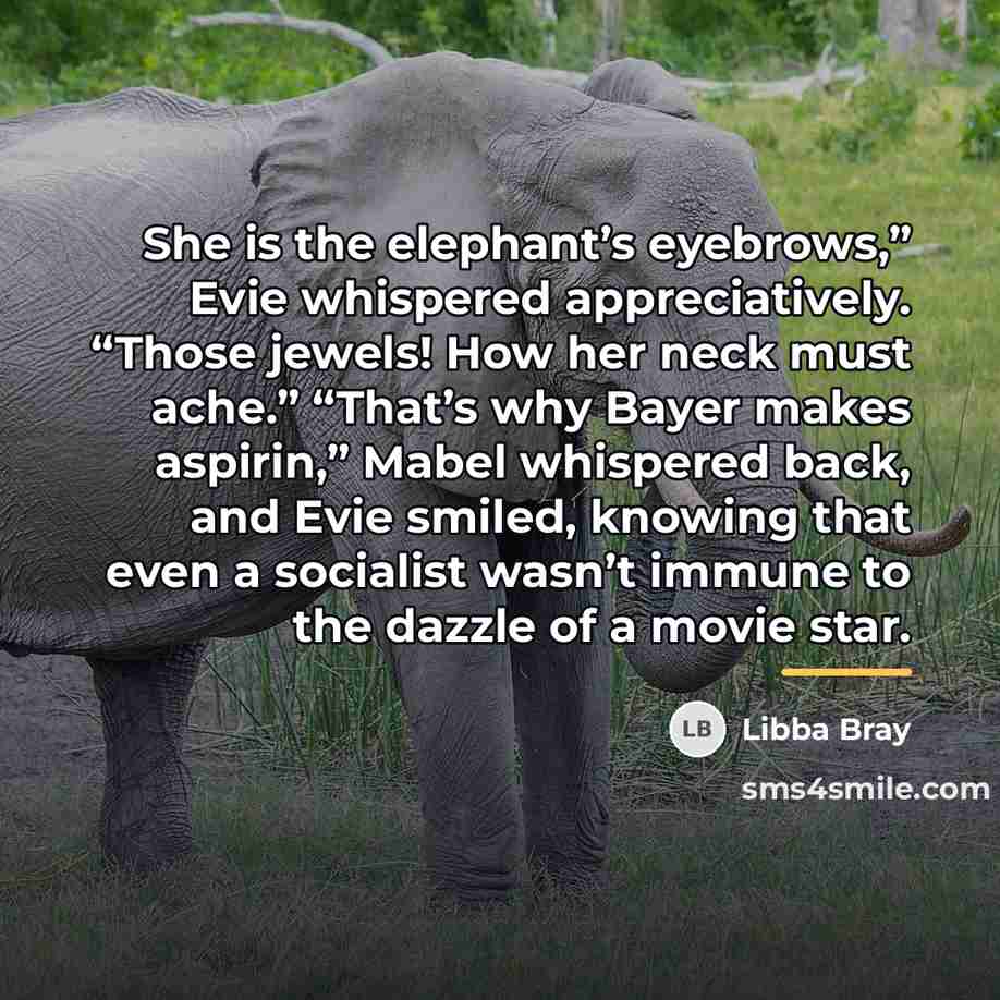 “She is the elephant’s eyebrows,” Evie whispered appreciatively. “Those jewels!…” quote by Libba Bray