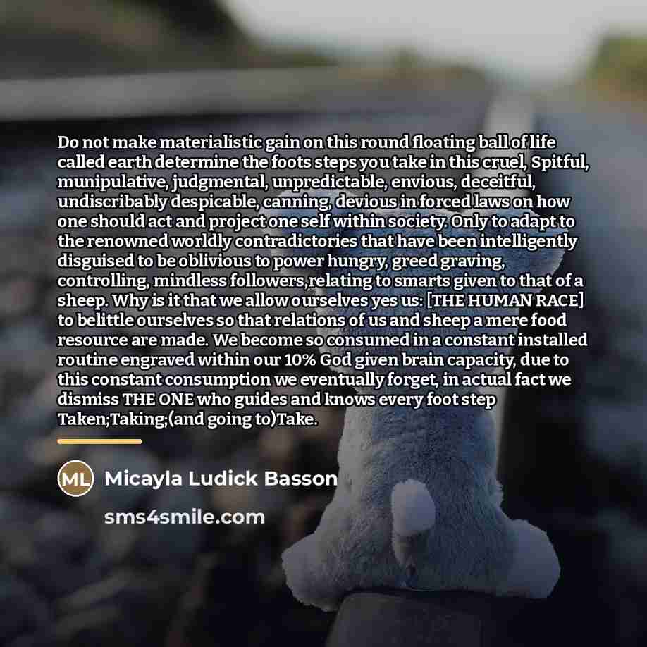 “Do not make materialistic gain on this round floating ball…” quote by Micayla Ludick Basson
