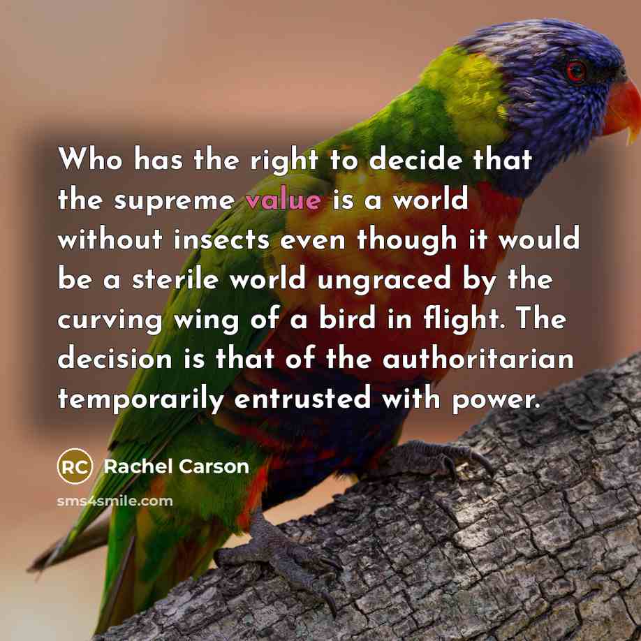 “Who has the right to decide that the supreme value…” quote by Rachel Carson