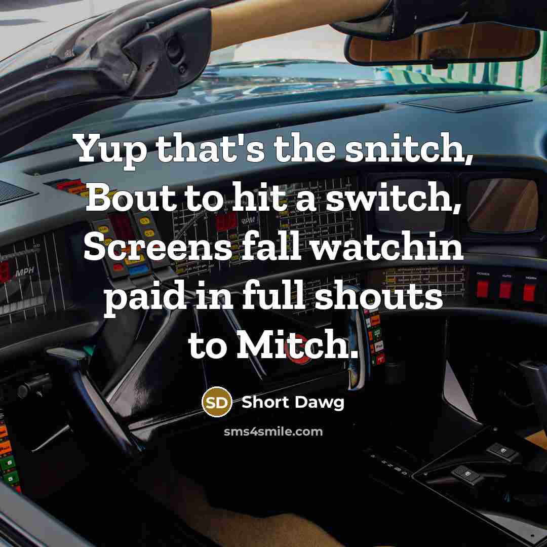 “Yup that's the snitch, Bout to hit a switch, Screens fall watchin paid in full shouts to Mitch.” quote by Short Dawg
