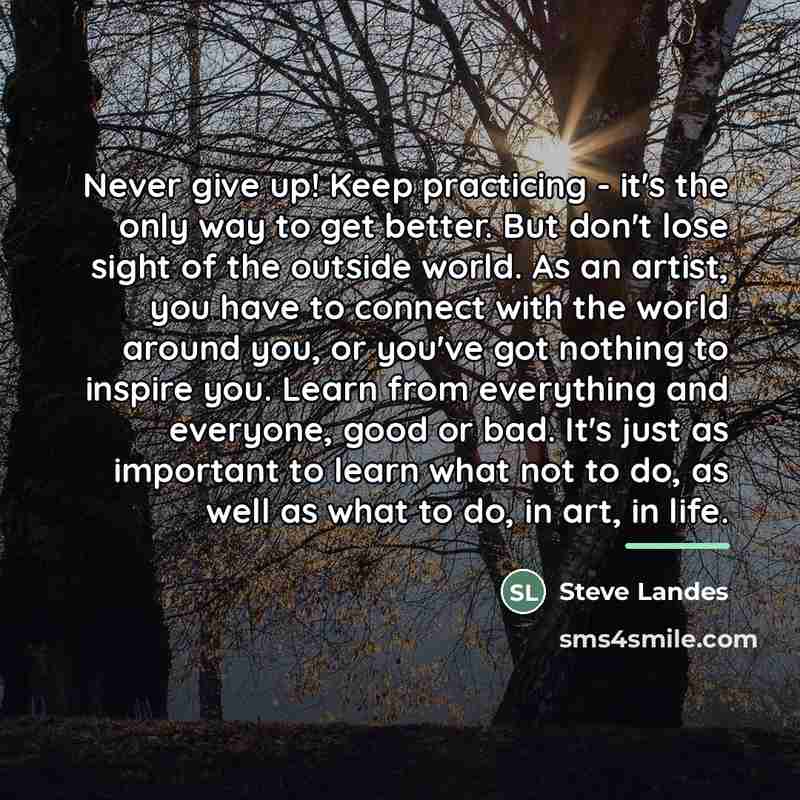 “Never give up! Keep practicing - it's the only way…” quote by Steve Landes