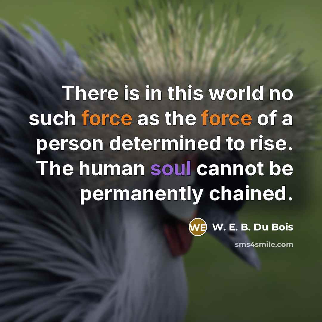 “There is in this world no such force as the…” quote by W. E. B. Du Bois