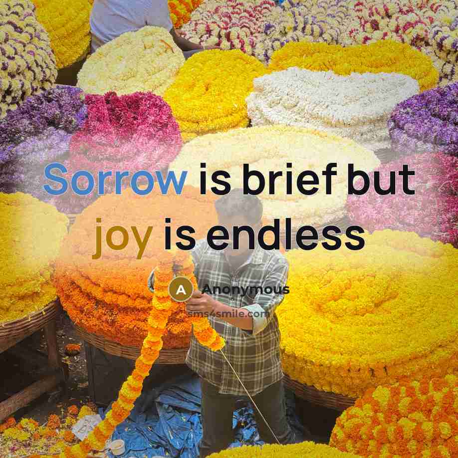 “Sorrow is brief but joy is endless” quote by Anonymous