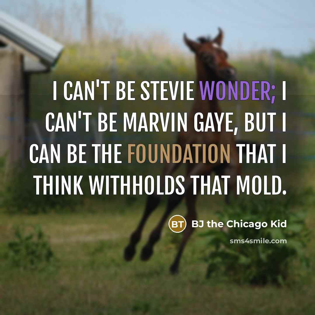 “I can't be Stevie Wonder; I can't be Marvin Gaye,…” quote by BJ the Chicago Kid