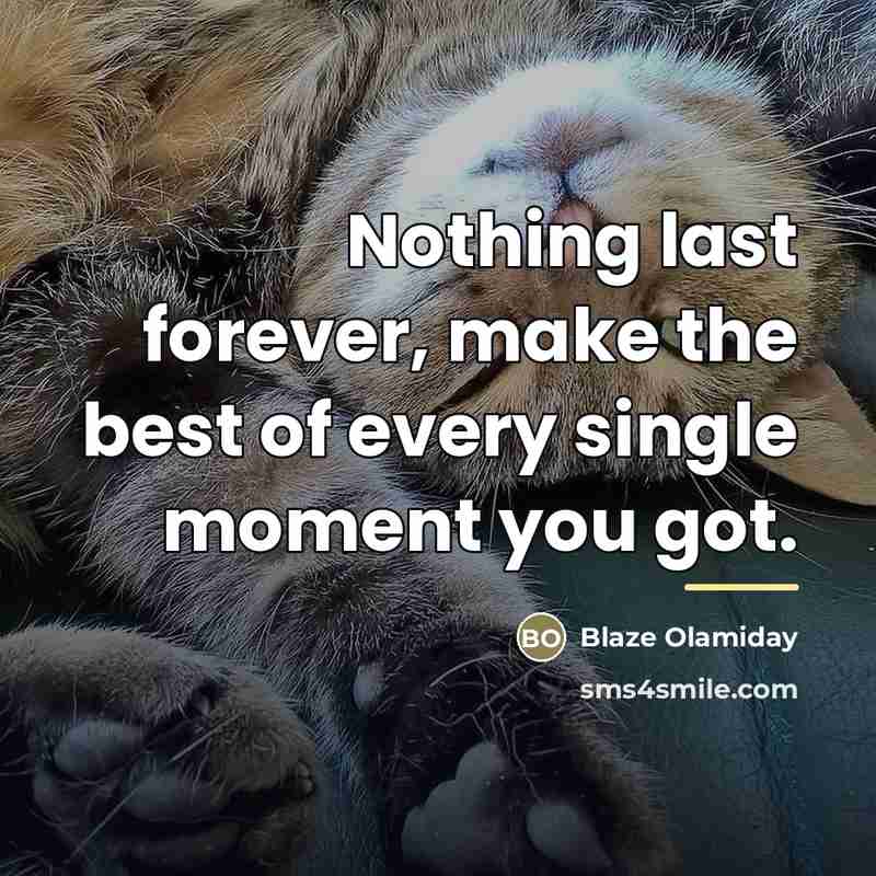 “Nothing last forever, make the best of every single moment…” quote by Blaze Olamiday