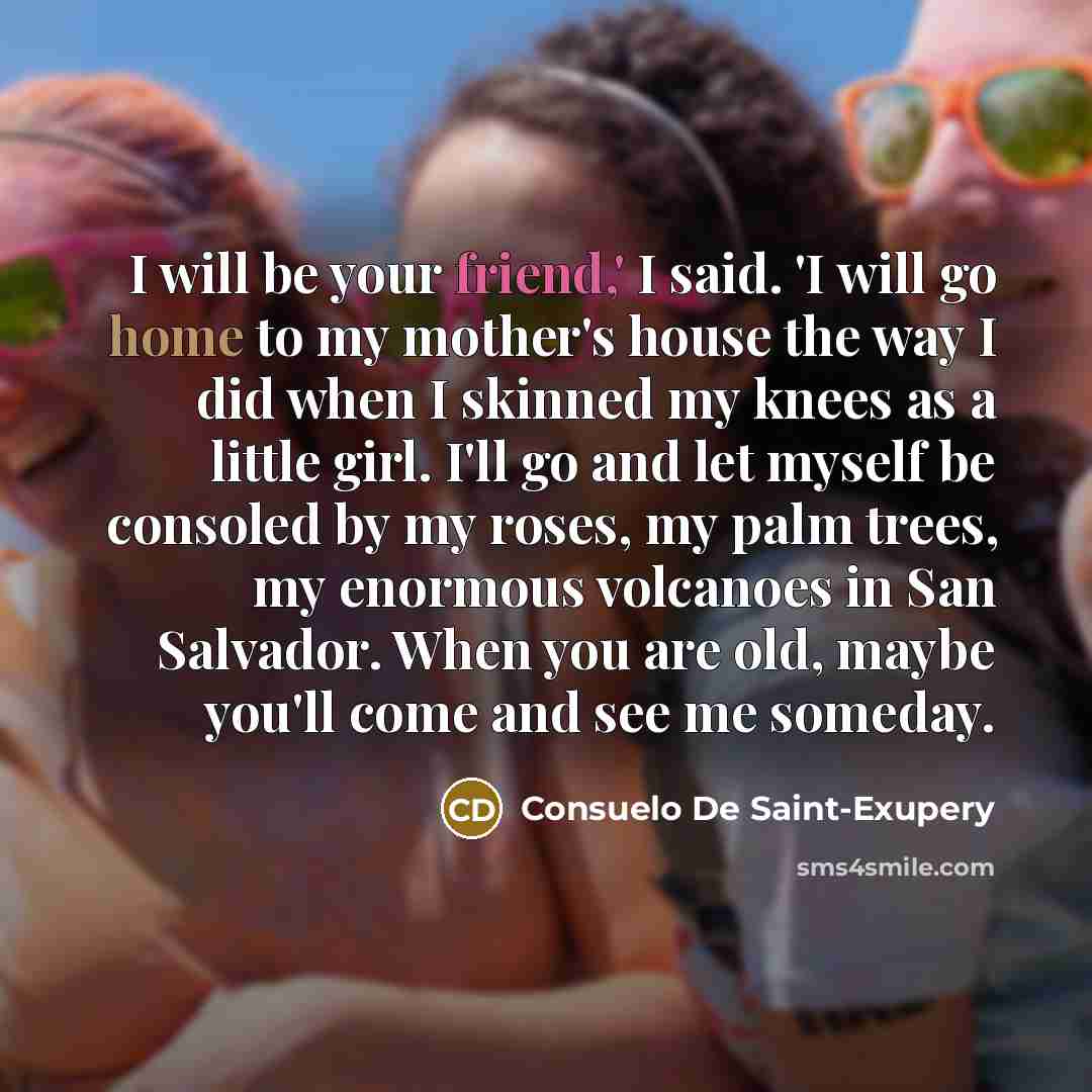“I will be your friend,' I said. 'I will go…” quote by Consuelo de Saint-Exupéry