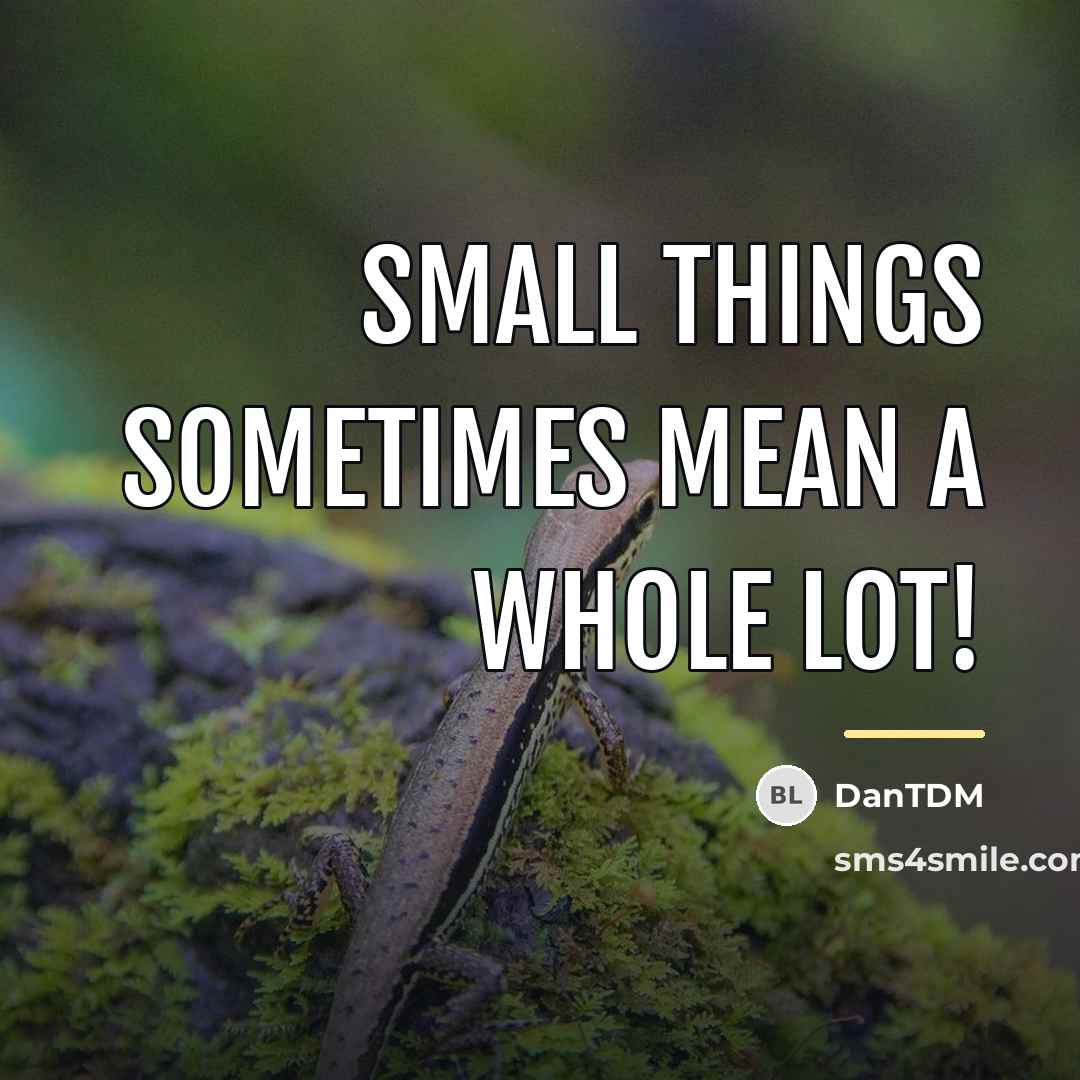 “Small things sometimes mean a whole lot!…” quote by DanTDM