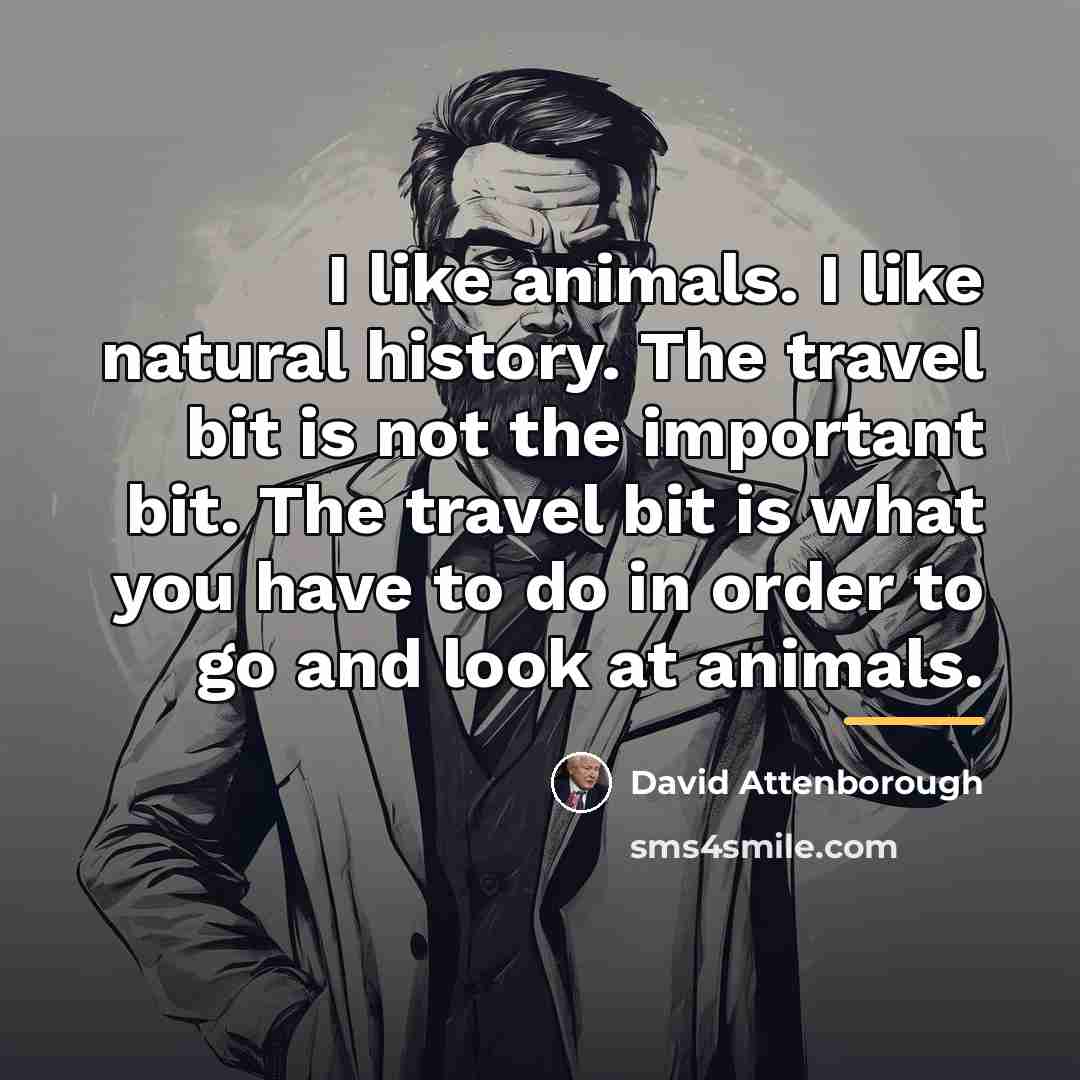 “I like animals. I like natural history. The travel bit…” quote by David Attenborough