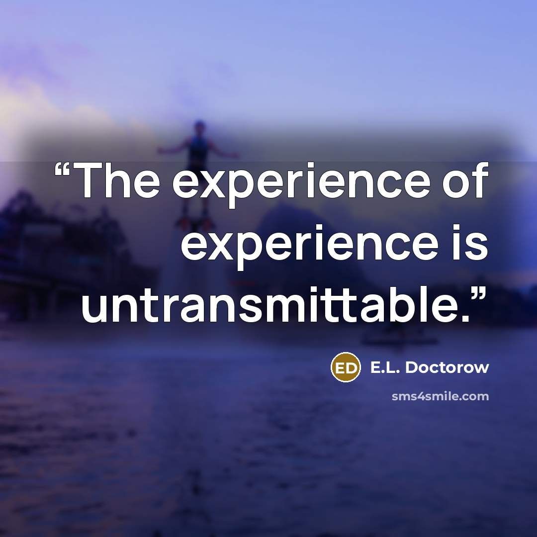 “The experience of experience is untransmittable.” quote by E.L. Doctorow