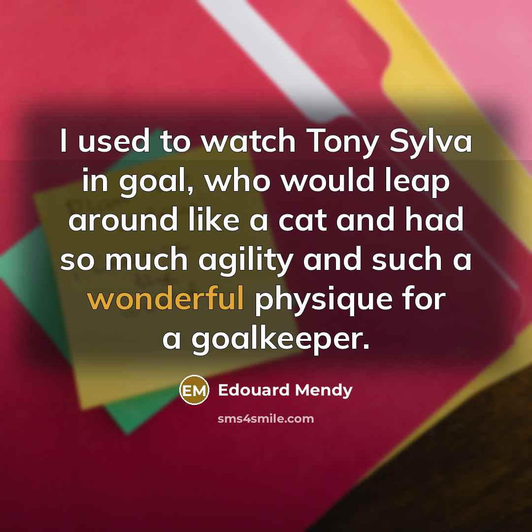 “I used to watch Tony Sylva in goal, who would leap around like a cat and had so much agility and such a wonderful physique for a goalkeeper.” quote by Edouard Mendy