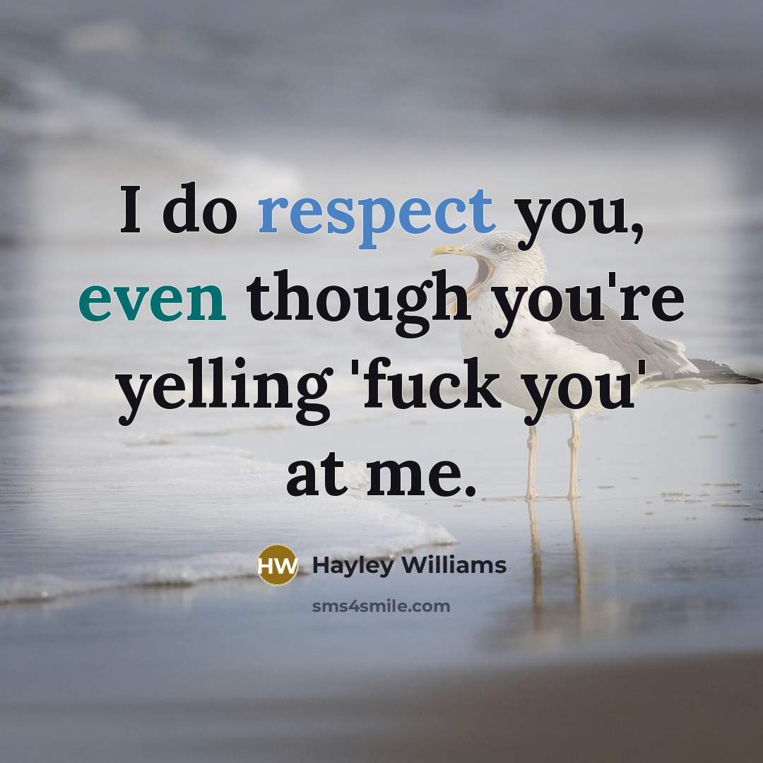 “I do respect you, even though you're yelling 'fuck you' at me.” quote by Hayley Williams