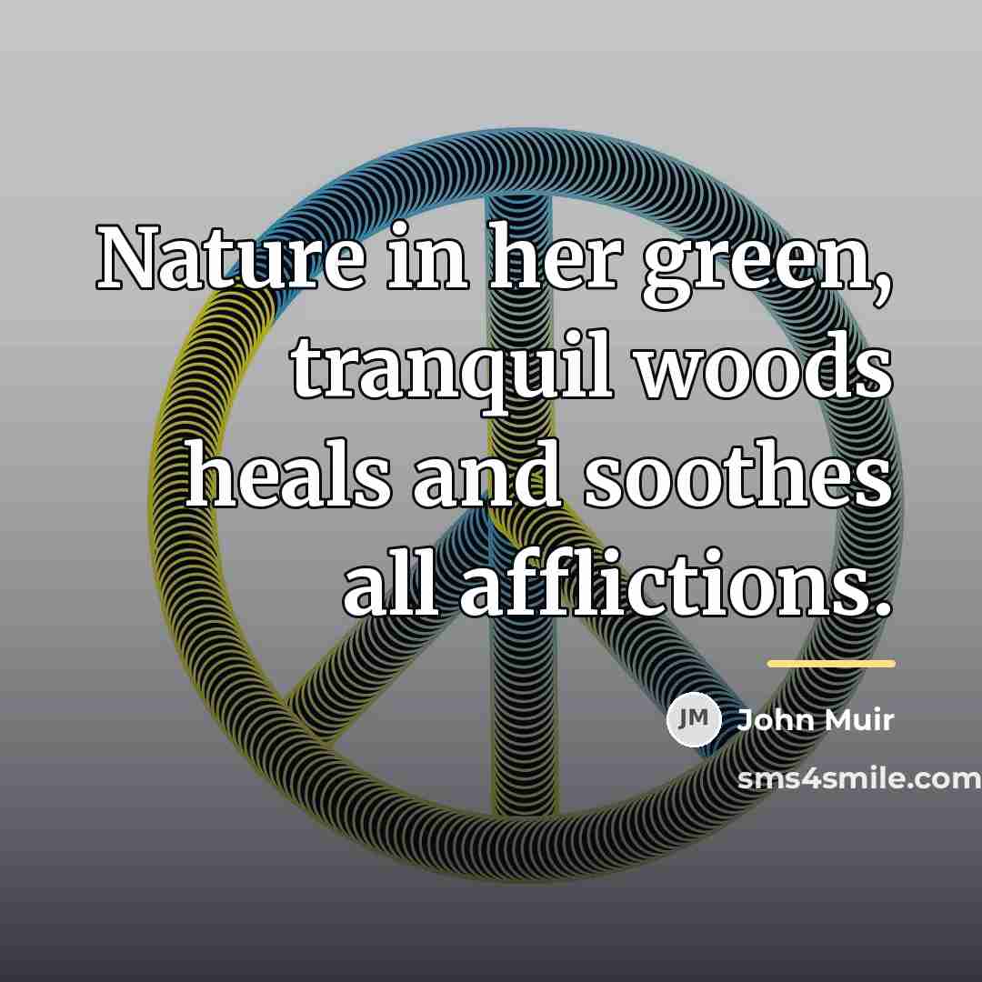 “Nature in her green, tranquil woods heals and soothes all…” quote by John Muir