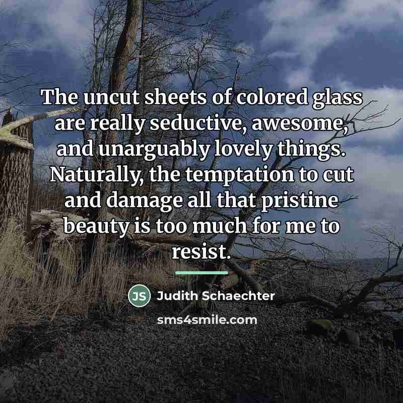 “The uncut sheets of colored glass are really seductive, awesome,…” quote by Judith Schaechter