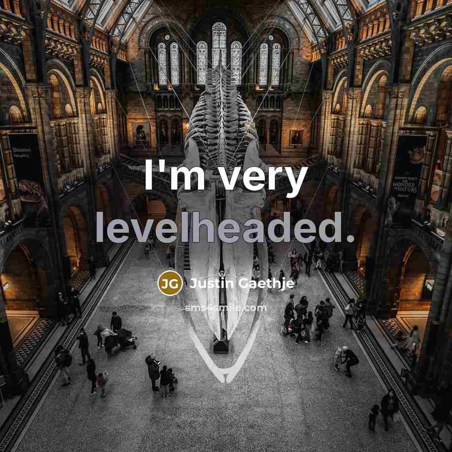 “I'm very levelheaded.” quote by Justin Gaethje