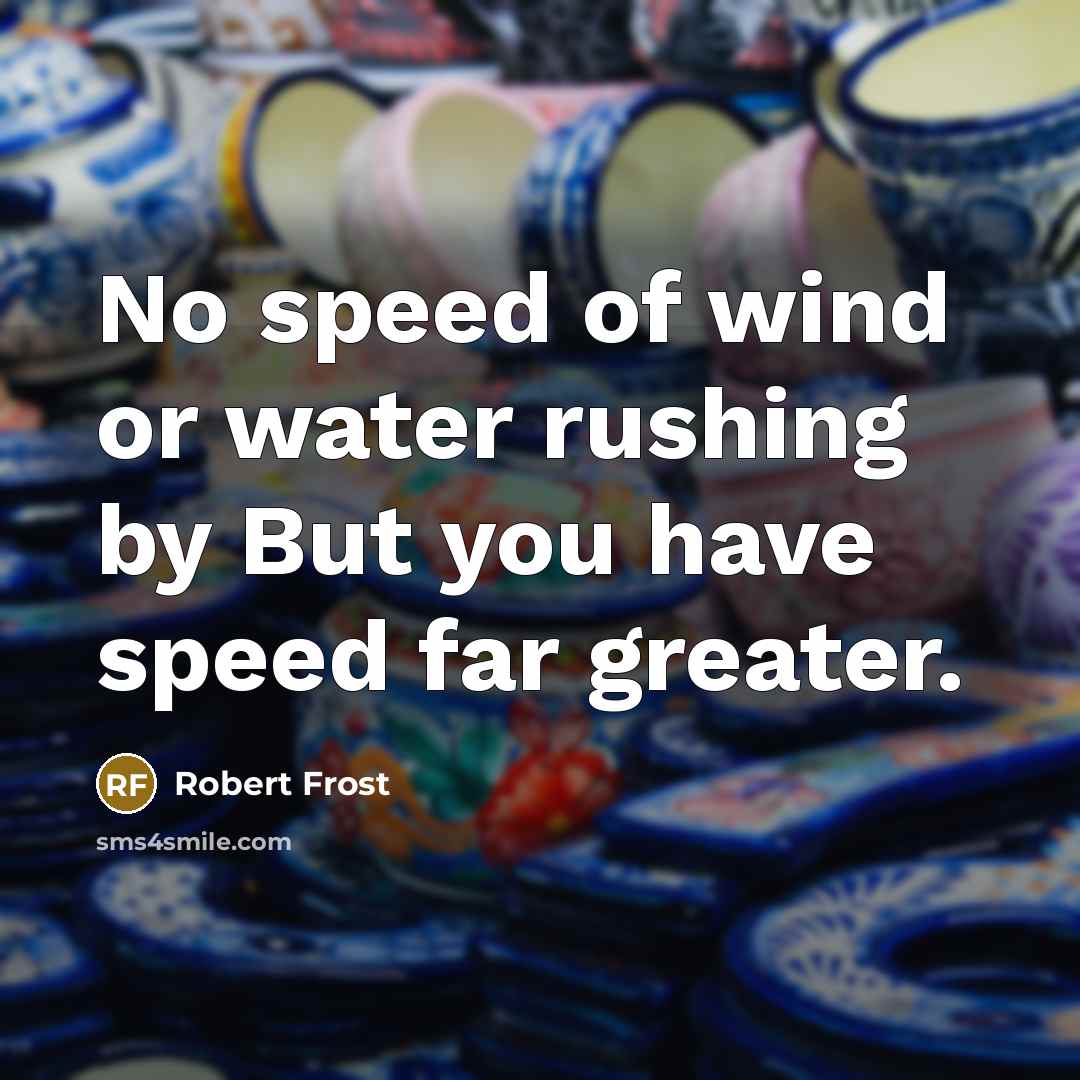 “No speed of wind or water rushing by But you…” quote by Robert Frost