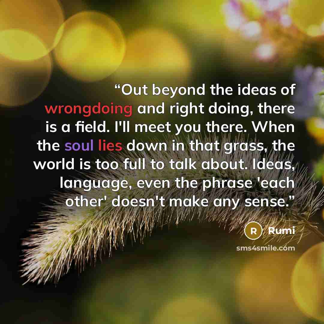 “Out beyond the ideas of wrongdoing and right doing, there is a field. I'll meet you there. When the soul lies down in that grass, the world is too full to talk about. Ideas, language, even the phrase 'each other' doesn't make any sense.” quote by Rumi