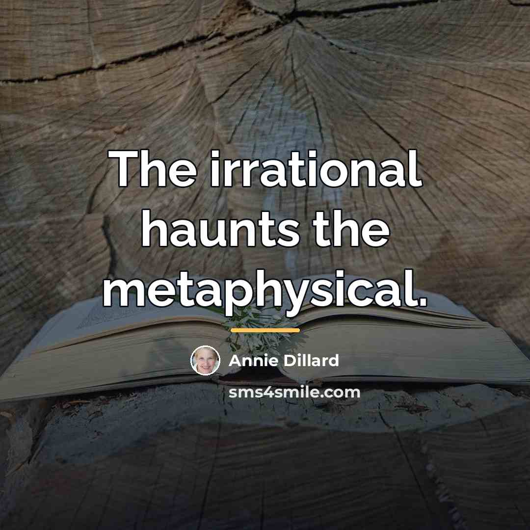 “The irrational haunts the metaphysical.…” quote by Annie Dillard