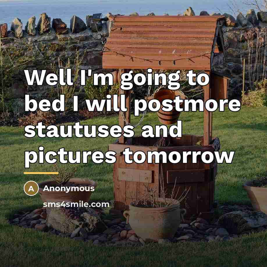 “Well I'm going to bed I will postmore stautuses and…” quote by Anonymous
