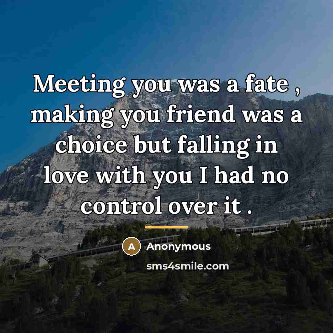 “Meeting you was a fate , making you friend was…” quote by Anonymous